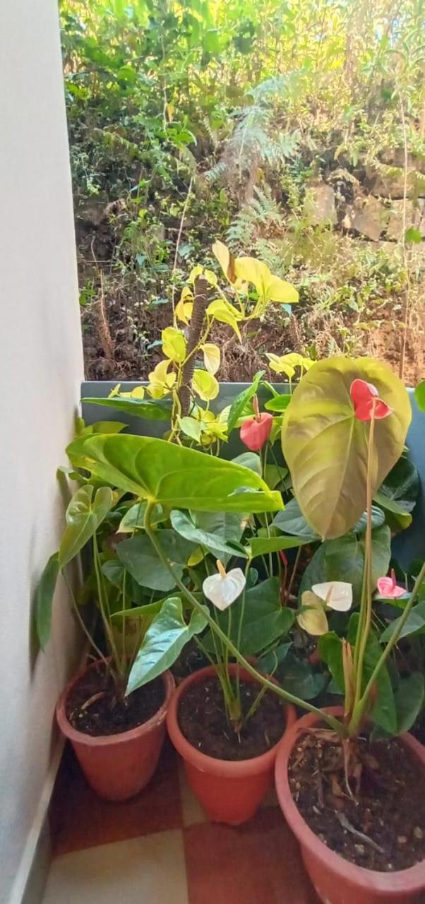 Nakshatra * Madikeri
